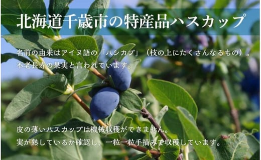 【定期便】ハスカップスイート720ｍl×2本＜ギフト箱入＞★隔月・全6回お届け