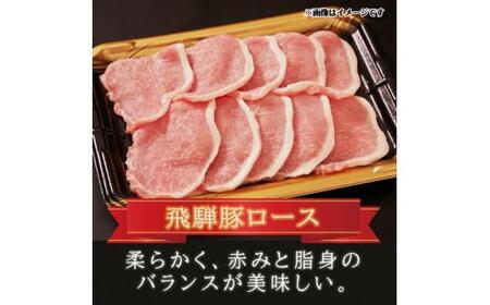 飛騨牛 ＆ 飛騨豚 焼肉 セット 合計 1kg 肉 国産 牛 豚 29-950 ファミリーストアさとう b579