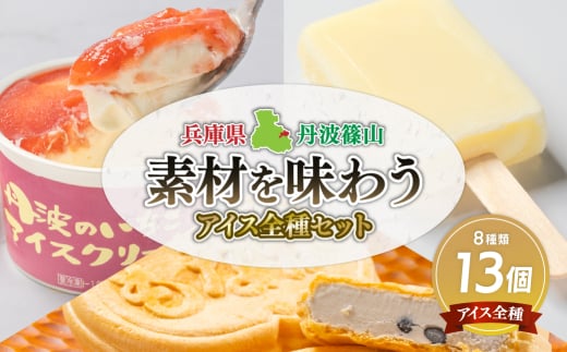 丹波篠山 素材を味わうアイスクリーム アイス全種セット 13個(8種類) 兵庫県 丹波篠山市 アイスクリーム 濃厚 滑らか コク ご当地 パーティ アレンジ 冷凍配送 冷凍食品