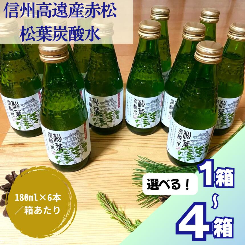 【ふるさと納税】信州高遠産赤松：松葉炭酸水　選べる 1箱 2箱 3箱 4箱 180ml×6本／箱あたり　セット 長野県 伊那市 松葉健康法 松葉 高遠 高遠里山の風 里山 再生 保全 松 松葉 炭酸 森林浴 信州 長野県産