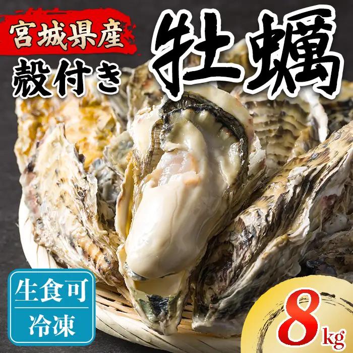 松島牡蠣屋 冷凍牡蠣（生食用） 8kg 宮城県産 牡蛎 牡蠣 カキ オイスター カキフライ 牡蠣鍋 海鮮 国産 魚貝類 急速冷凍 【菊地水産合同会社】tm752