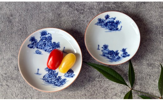 有田焼 山水絵小皿大・小 2枚1組【起山窯】食器 器 うつわ 小皿 手描き 染付 山水絵 2枚 セット ギフト プレゼント co022