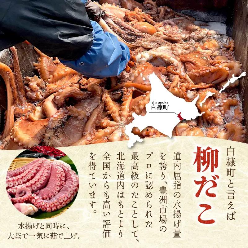 しらぬか産刺身用柳だこ【600g×2個】_I025-0136