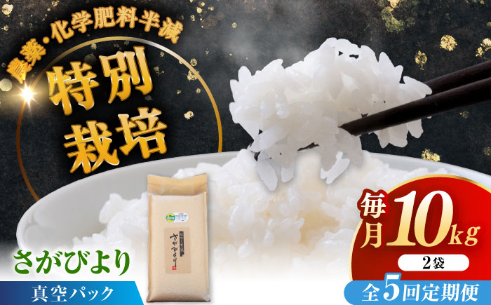 【全5回定期便】令和7年産 ななしま家 さがびより5kg×2袋 / 白米 米 特別栽培 / 佐賀県 / 有限会社七島農産 [41AHAC008]