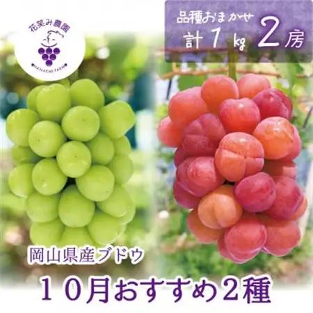 【2026年先行受付】岡山　花笑み農園のブドウ『10月おすすめ 2種セット』1kg(2房)2M-1L【配送不可地域：離島・北海道・沖縄県】【1627769】