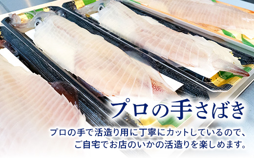 『予約受付』唐津呼子産いか活造り 2杯(180g×2) 急速冷凍 新鮮そのまま食卓へ！イカ 刺身 簡単 ギフト※水揚げあり次第令和6年5月以降順次発送させていただきます。