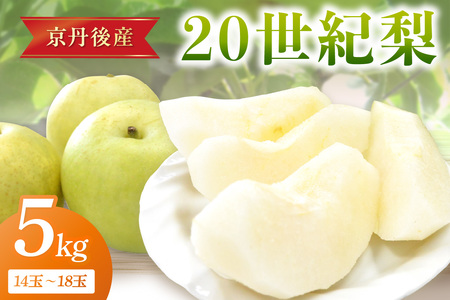 【先行予約／数量限定150】20世紀梨 5kg（2026年9月上旬～発送）