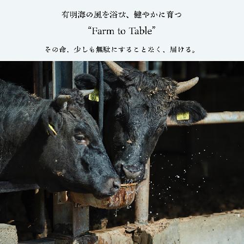 【定期便6回】【牧場直送】佐賀産黒毛和牛100％和牛ハンバーグ4個 ：B790-008_イメージ4