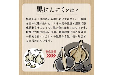 超熟成黒にんにく(250g×1袋セット)