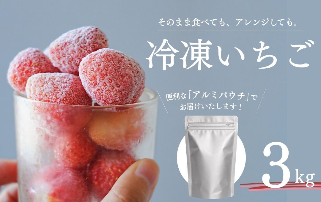 【2027年発送】 完熟冷凍イチゴ 3kg かおり野 恋みのり 堅しろう 福岡S6号 から厳選　【 いちご 果物 フルーツ 苺 イチゴ 冷凍 果物 フローズン くだもの 大容量 静岡県産 期間限定 】