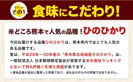 令和5年産 ひのひかり 無洗米 12kg 《7-14営業日以内に出荷予定(土日祝除く)》 6kg×2袋 熊本県産 米 精米 大津町