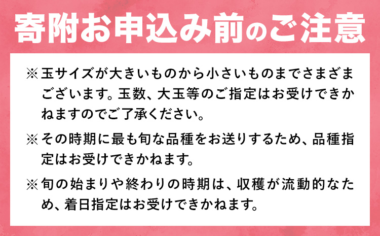 桃 岡山の桃 約2kg《6月下旬-9月上旬頃発送》岡山県 笠岡市 白桃 岡山 はくとう スイーツ フルーツ 果物 デザート 旬 モモ もも 送料無料 果物 清水白桃 白鳳 白麗 クール便