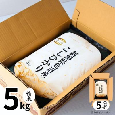 ふるさと納税 十日町市 【毎月定期便】【定期便6回(毎月発送)】魚沼産コシヒカリ(金印)精米 5kg全6回 |  | 01