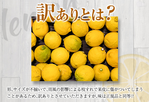 訳あり 先行予約 数量限定 マイヤーレモン 計5kg以上 フルーツ 果物 柑橘 レモン 檸檬 オレンジ 人気 おすすめ おすそ分け お土産 プレゼント お取り寄せ グルメ 国産 食品 デザート スイー