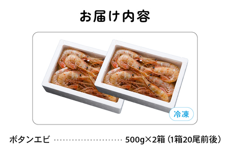【漁師採りたて　留萌産】ボタンエビ　500ｇ×2