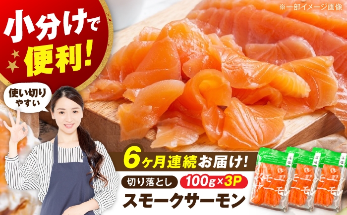 
                  【全6回定期便】サーモン 鮭 スモークサーモン  （切り落とし）100ｇ×3パック 滋賀県長浜市/株式会社中村屋[AQAJ036] サーモン 鮭 スモークサーモン スモークサーモン 鮭 燻製 刺身 お取り寄せ グルメ 魚介類 前菜 おつまみ サラダ シーフード クリームチーズ サンドイッチ 海鮮セット パーティー用 人気 プレゼント ギフト 贈答
                