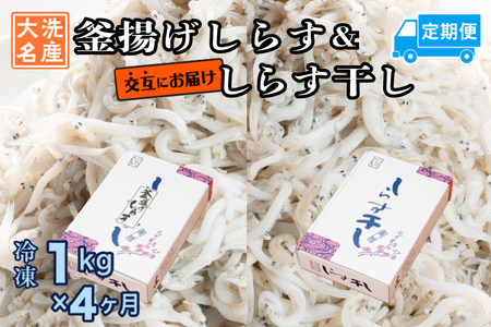釜揚げしらす しらす干し 交互 定期便 (1kg×4か月) しらす _AG063