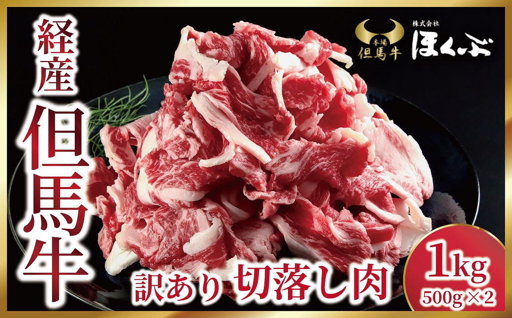 
経産但馬牛 訳あり 切落し肉 1kg（500g×2P） 但馬牛 和牛 国産 黒毛和牛 経産牛 バラ 切り落とし 1,000g 冷凍 すき焼き 肉じゃが 但馬牛のほくぶ 【AS2C23】
