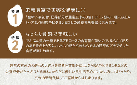 玄米 発芽玄米(150g×24個)パックごはん 玄米 玄米 玄米