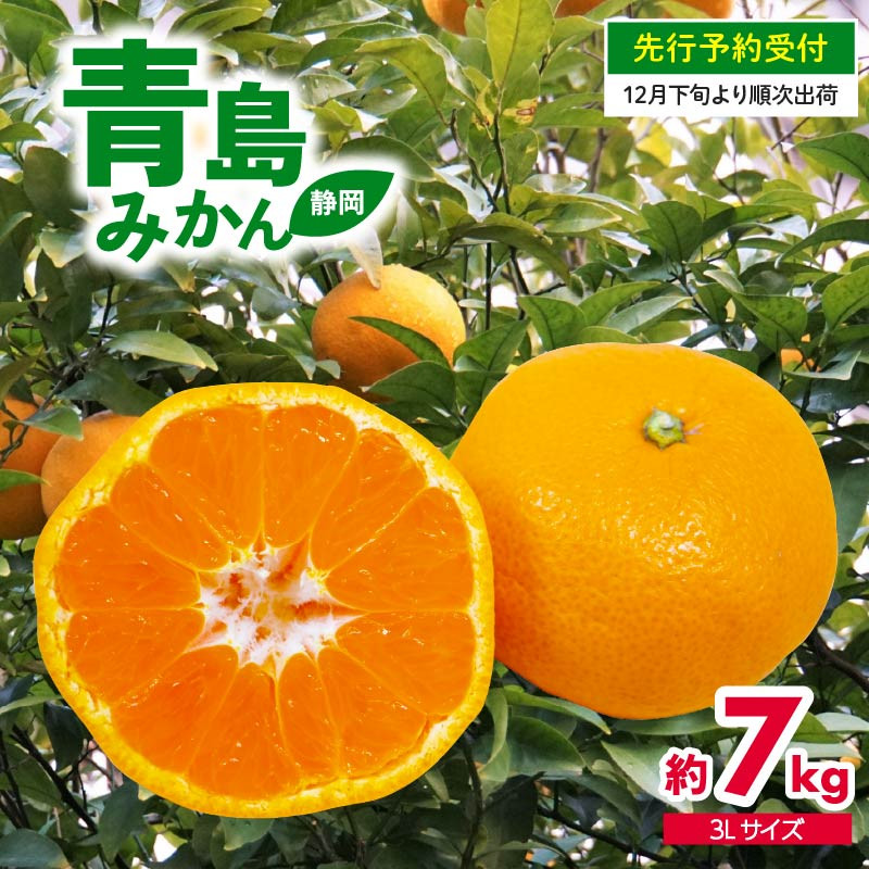 
            【 先行予約 : 2025年12月下旬発送予定 】 静岡県産 特大 青島 みかん 3L 約 7kg 果物 国産 フルーツ 柑橘 蜜柑 ミカン ビタミン 静岡県 藤枝市
          