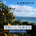 【ふるさと納税】【返礼品なし】愛媛県伊方町・応援寄附（寄附のみの応援受付 ※返礼品はございません）