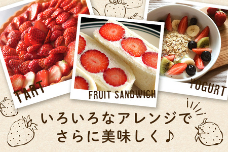 【 2026年 先行予約 】いちご 旬の苺 食べ比べセット 4p Rafすとろべりーふぁーむ イチゴ 苺 4パック 国産 果物 フルーツ くだもの 1月 2月 3月 発送 冬 旬 産地直送 農家直送 