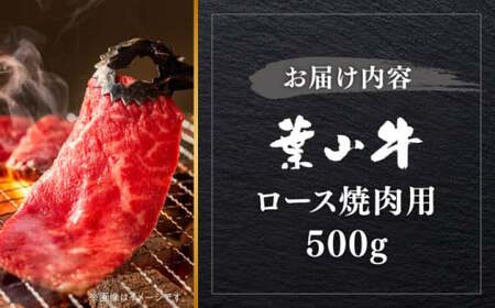 【葉山牛】500g　ロース焼肉用／ 焼肉 和牛 牛肉 焼き肉【葉山牛ステーキレストラン 角車】[ASBD004]