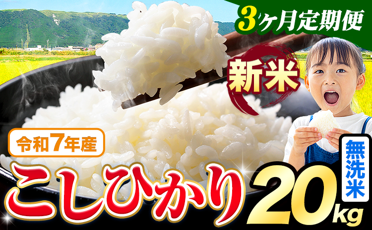 【3ヶ月定期便】令和7年産 新米 無洗米 こしひかり 20kg《お申込み翌月出荷》熊本県産 ふるさと納税 無洗米 ひの 米 こめ ふるさとのうぜい コシヒカリ コメ お米 おこめ---reihoku_loc_49_mo3---