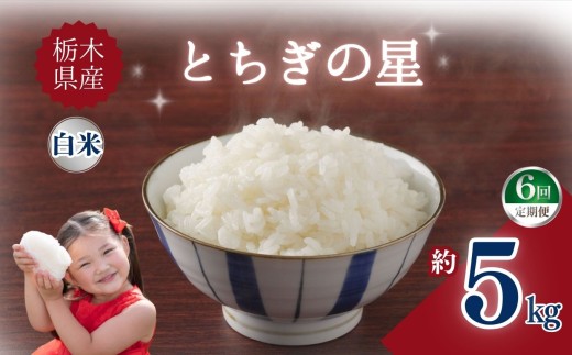 【定期便6回】栃木県産とちぎの星 5kg | お米 米 こめ ご飯 美味しい ふるさと 栃木県 矢板市 【栃木県共通返礼品】 ブランド米
