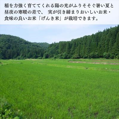 ふるさと納税 小松市 げんき米 コシヒカリ 玄米 10kg お米 石川県産 小松市産【エコファーム北陸】 |  | 01