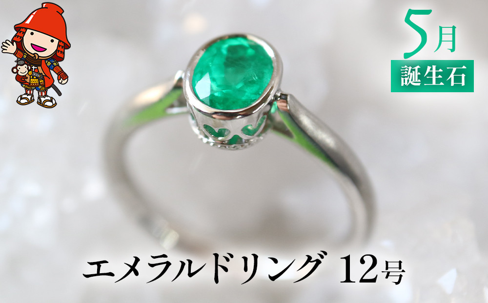 
            誕生石 5月 エメラルド 指輪 | リング 12号 レディース PT900 プラチナ アクセサリー 婚約指輪 プロポーズ 結婚指輪 誕生日 婚約 結婚 母の日 プレゼント 祝 記念日 女性 贈り物 大分県 中津市
          