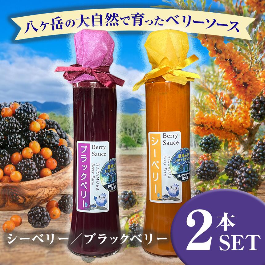 【ふるさと納税】 八ヶ岳 の大自然で育った ブラックベリー & シーベリー ソース 2本 セット | ヨーグルト アイス デザート 甘い 農薬不使用 安心 信州 八ヶ岳 長野県 諏訪郡 原村