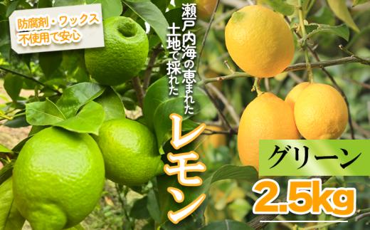【2025年10月より順次発送】グリーンレモン 約2.5kg ｜果物 くだもの フルーツ レモン れもん 檸檬 新鮮 かんきつ 柑橘 防腐剤不使用 ワックス不使用 グリーンレモン ぐりーんれもん イエローレモン いえろーれもん  国産 愛媛県 松山市 瀬戸内 レモン果汁 ビタミン レモンサワー ジュース チューハイ レモンシロップ レモンスカッシュ