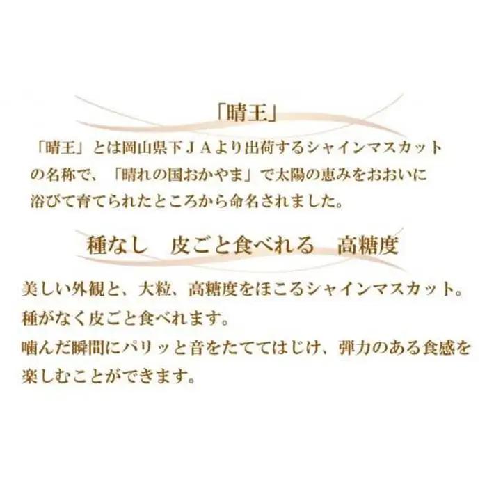 ぶどう 2026年 シャインマスカット 晴王 約700g×1房 葡萄  岡山県産 国産 フルーツ 果物 ギフト | シャインマスカット