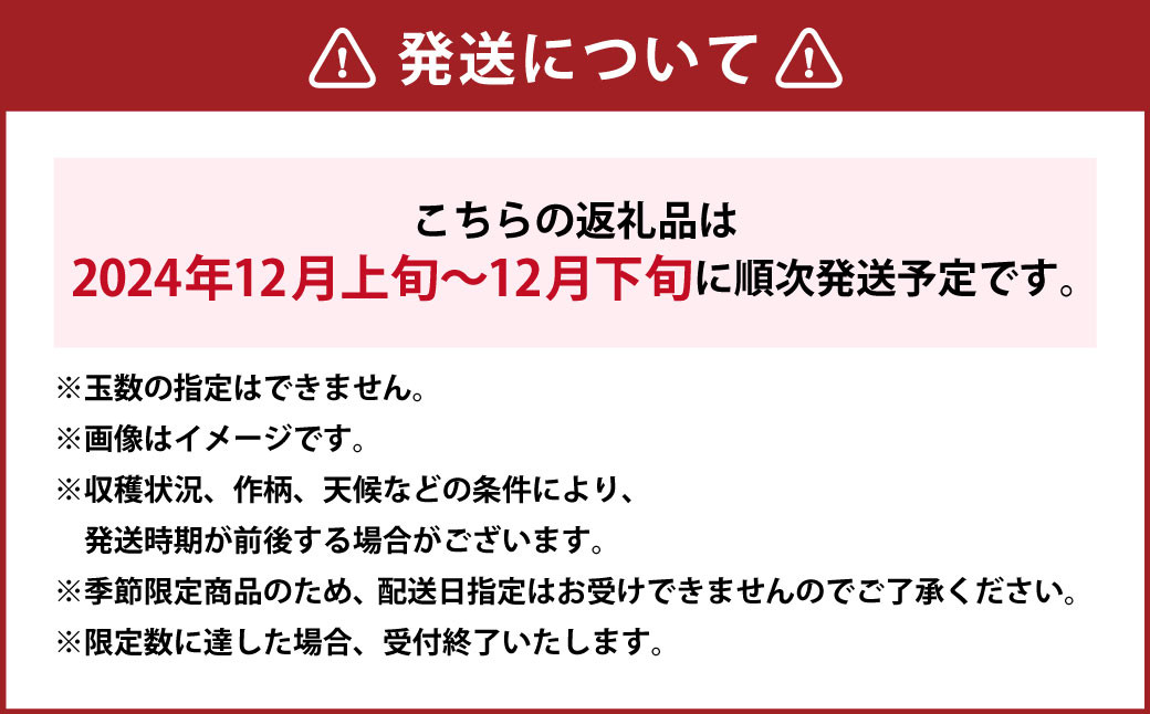  二戸産 りんご サンふじ ・ シナノゴールド ＆こだわり「いわてっこ」 新米 セット