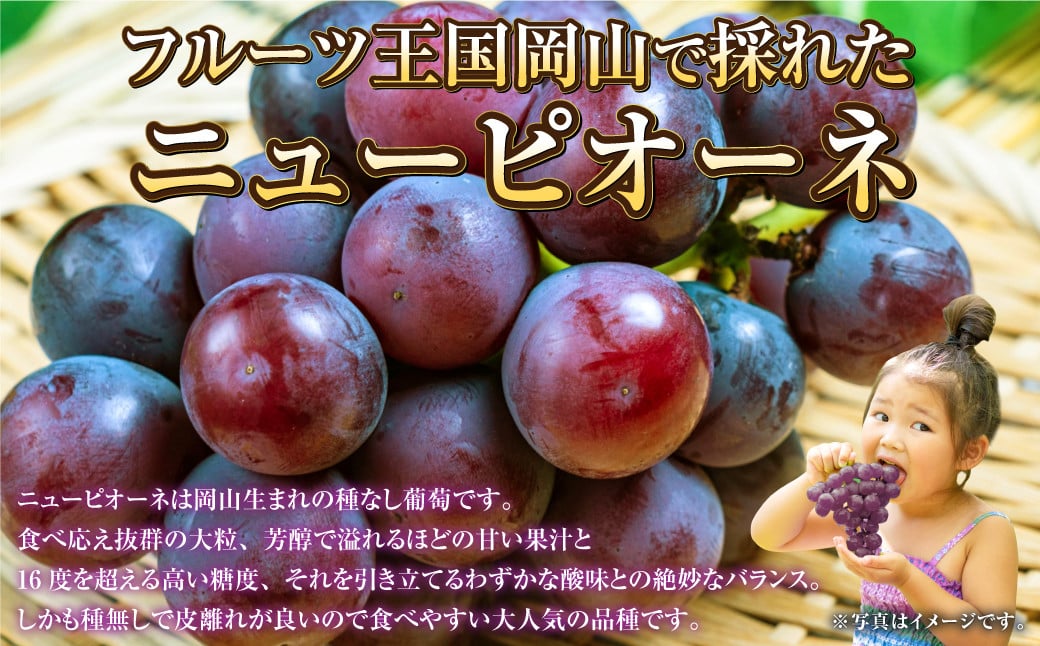 岡山県産 ニューピオーネ 約800g（約400g×2房）