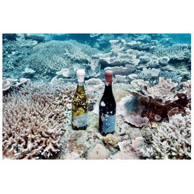 ふるさと納税 瀬戸内町 tlass-20252ndEdition-海底熟成ワイン白・赤・スパークリング750ml×3本 |  | 02