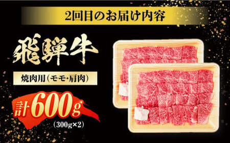 【3回定期便】 飛騨牛 モモ・肩肉 毎月600g しゃぶしゃぶ 焼肉 すき焼き / 牛肉 飛騨牛 和牛 / 白川町 / 浅井商店[AWBJ008]
