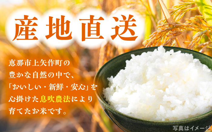 上矢作産 農家自慢のこしひかり（精米）6kg / 米 こめ コメ 白米 精米 こしひかり コシヒカリ / 恵那市 / 梅本勝司 [AUAL001]