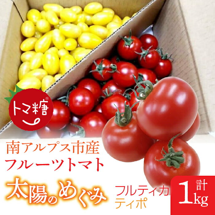 【ふるさと納税】フルーツトマト「太陽のめぐみ」1kg（フルティカ＆ティポ） トマト　野菜　食べ物　ミニトマト　フルーツトマト ALPBI002