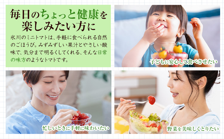 ミニトマト 約1kg 氷川アグリクラブ トマト 熊本《2月上旬-4月末頃出荷》熊本県 氷川町 野菜 熊本県産 サラダ プチトマト 国産---hkw_agrmt_af24_26_5000_1kg---