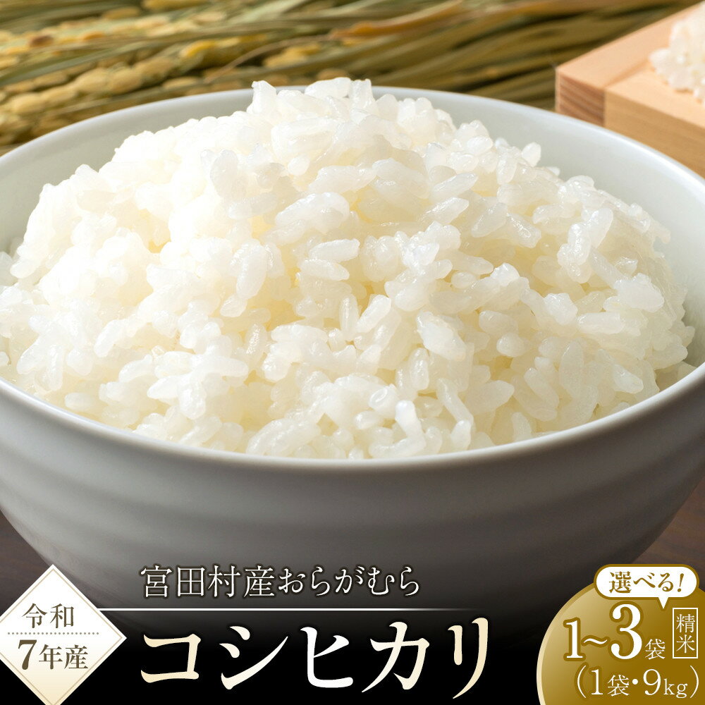 【ふるさと納税】【予約受付】【令和7年米】長野県宮田村産コシヒカリ 精米 9 ～ 27kg ＜選べる内容量・配送月＞
