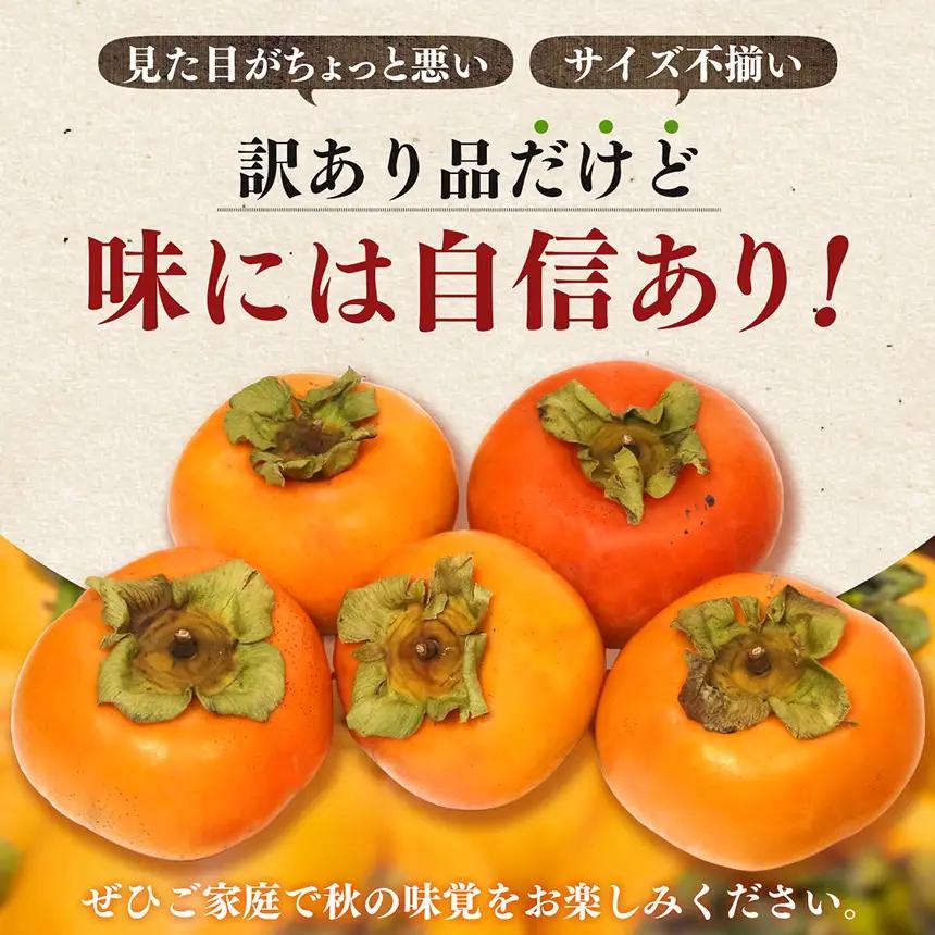 【訳あり品】 早秋 柿 28個／6kg ( 1箱 ) 先行予約 令和8年10月中旬順次発送 | さのっち農園