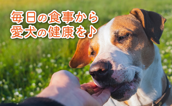 フルオーガニックドッグフード / 500g入 6袋セット|ペットフード ドッグフード 犬用 愛犬用 ごはん 天然素材 小麦粉不使用 グルテンフリー ビタミン 安心 安全 保存料無添加 フルオーガニック