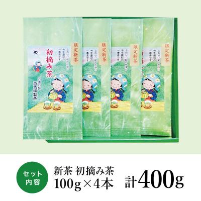 ふるさと納税 南さつま市 【新茶】西馬場製茶 初摘み茶4本セット <2025年新茶:5月出荷開始> |  | 01