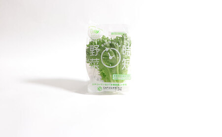 野菜セット フリルレタス 水耕栽培 無洗 野菜セット
