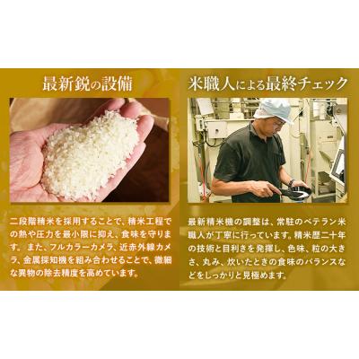 ふるさと納税 南阿蘇村 令和7年産 こしひかり 白米  10kg白米 《1-5日以内に出荷予定(土日祝除く)》 |  | 01