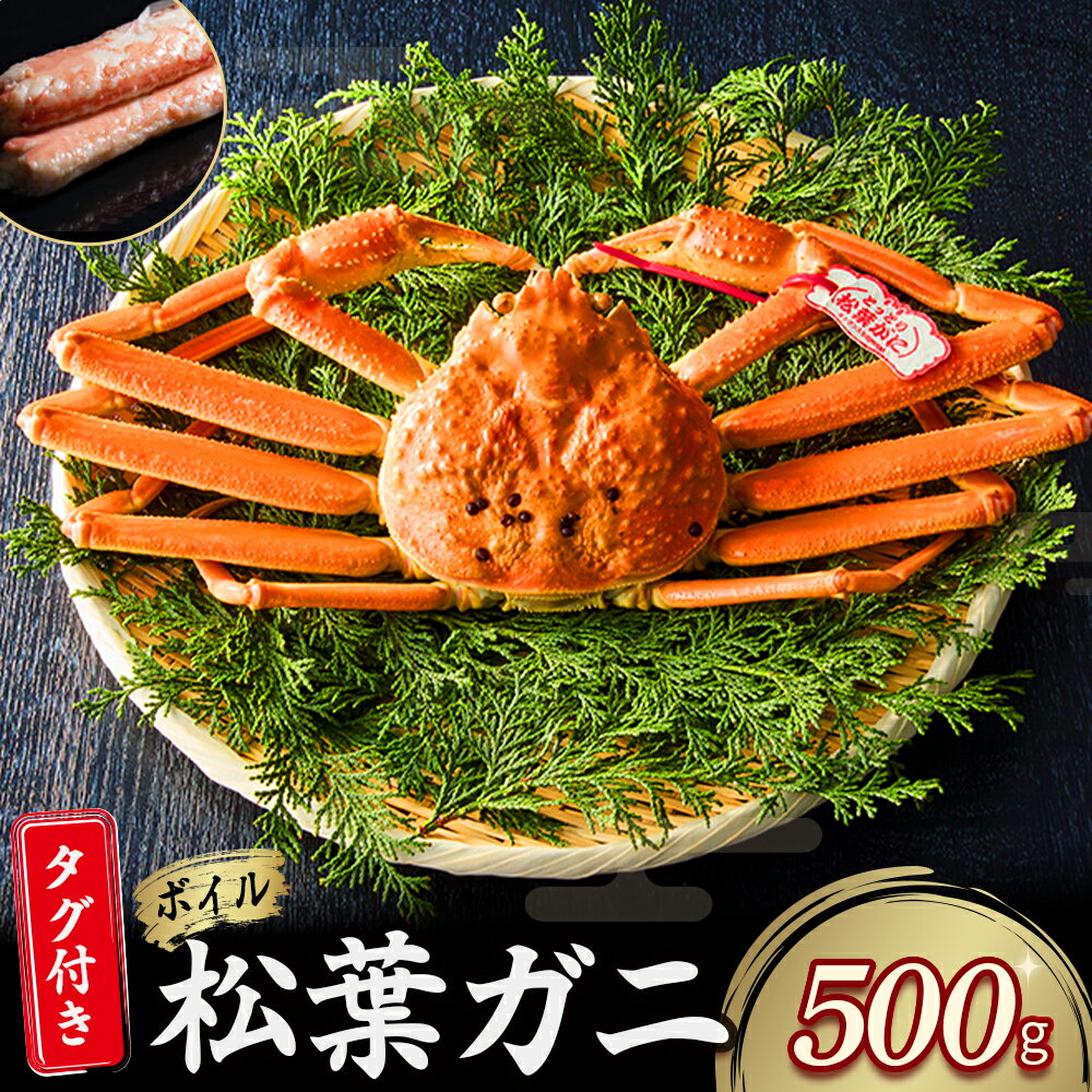 【ふるさと納税】【魚倉】タグ 付き ボイル 松葉ガニ（ 500g 以上） ズワイガニ 松葉蟹 カニ かに かにしゃぶ 【11月から3月発送予定】
