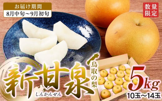 
【先行予約】梨 新甘泉梨 5kg ( 5kg × 1箱 )
