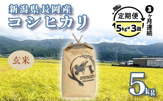 N5-G053【3ヶ月連続お届け】新潟県長岡産コシヒカリ玄米5kg